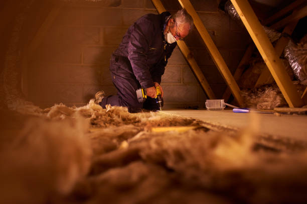Best Insulation Maintenance and Repair in Lancaster, TX