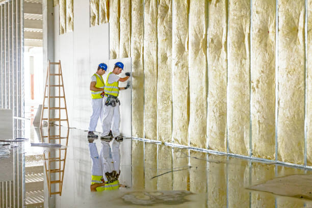 Best DIY Insulation Kits and Guidance in Lancaster, TX